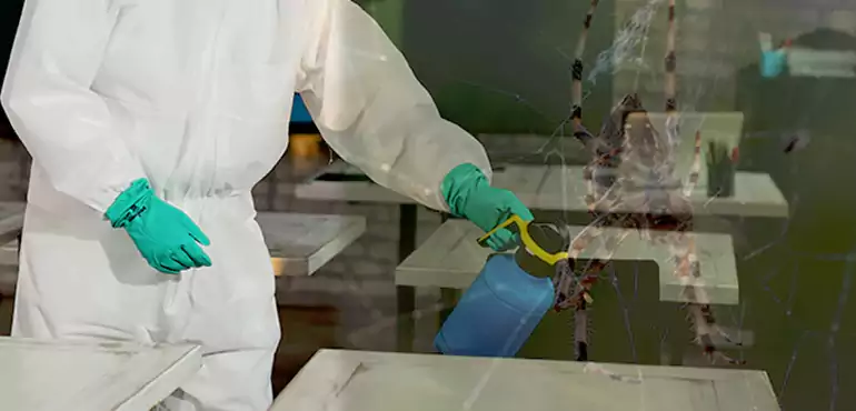 Why Buyers Still Want Homes With Pest Infestations in Anaheim, CA?