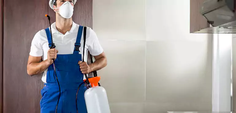 Why Anaheim Homeowners Choose Us When Pests Make Selling Difficult